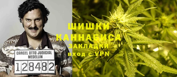 хмурый Верея