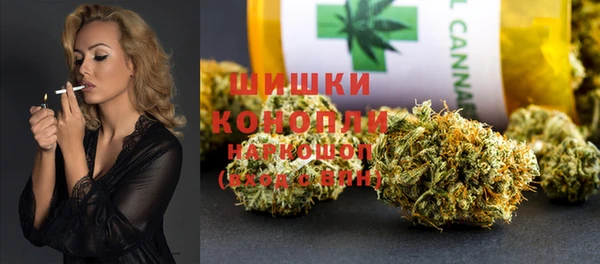хмурый Верея