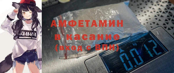 хмурый Верея