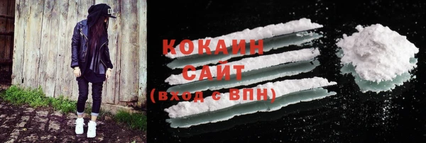 хмурый Верея