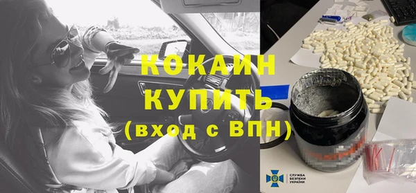 хмурый Верея