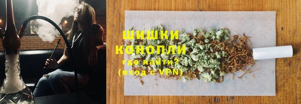 хмурый Верея
