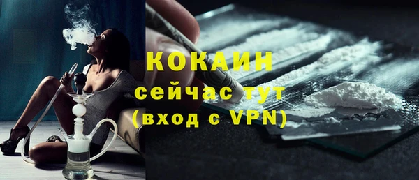 хмурый Верея