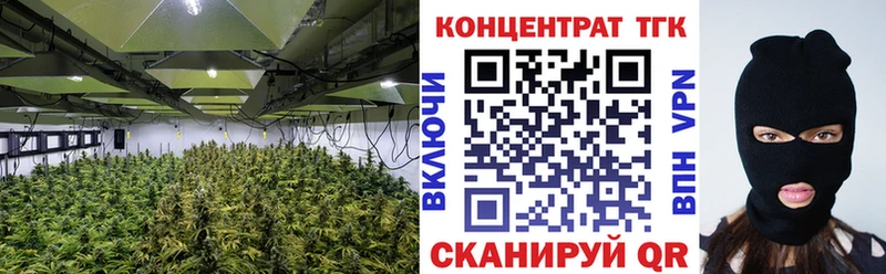 ТГК Wax дарнет шоп Геленджик