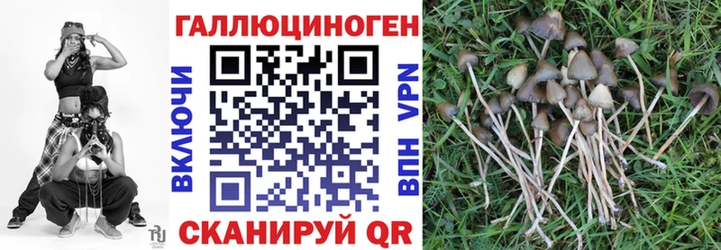 Псилоцибиновые грибы Magic Shrooms  наркота  ссылка на мегу ТОР  Геленджик 